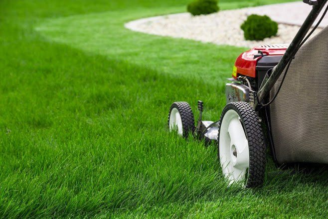 When to Mow New Sod: Essential Tips for a Healthy Lawn